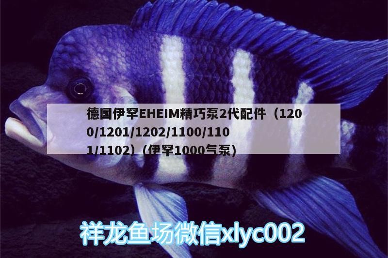 德國伊罕EHEIM精巧泵2代配件（1200/1201/1202/1100/1101/1102）(伊罕1000氣泵) 德國伊罕EHEIM精巧泵2代配件（1200/1201/1202/1100/1101/1102）(伊罕1000氣泵) 伊罕水族