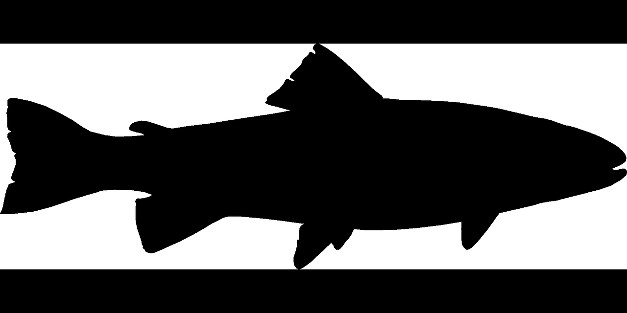 老魚匠造浪泵怎么樣，老魚匠影流水泵怎么樣