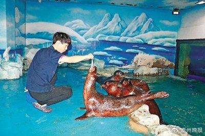 泰州水族館vs祥龍魚場（探討泰州水族館與祥龍魚場的區別之前需要明確兩者的主要業務和特點） 泰州水族館vs祥龍魚場（探討泰州水族館與祥龍魚場的區別之前需要明確兩者的主要業務和特點） 全國水族館企業名錄 第3張