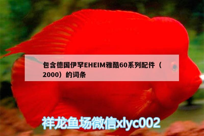 包含德國伊罕EHEIM雅酷60系列配件（2000）的詞條 包含德國伊罕EHEIM雅酷60系列配件（2000）的詞條 伊罕水族