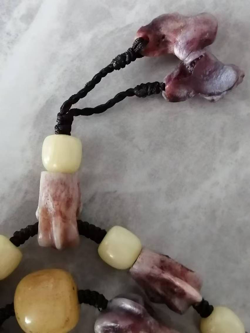俄羅斯的特產大灰的趾骨 龍魚論壇 第2張 俄羅斯的特產大灰的趾骨 俄羅斯的特產大灰的趾骨 龍魚論壇 第2張