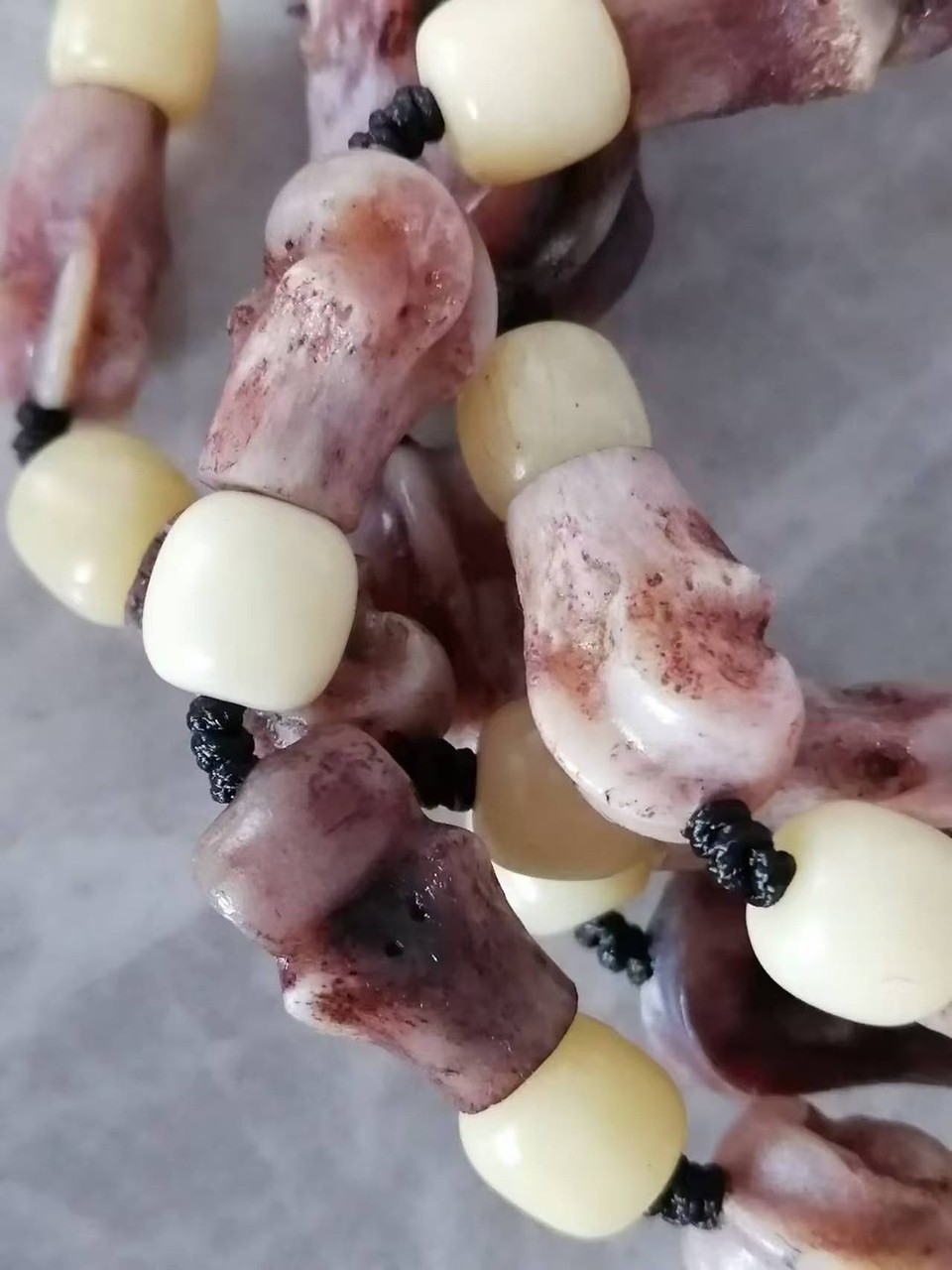 俄羅斯的特產大灰的趾骨 龍魚論壇 第3張 俄羅斯的特產大灰的趾骨 俄羅斯的特產大灰的趾骨 龍魚論壇 第3張
