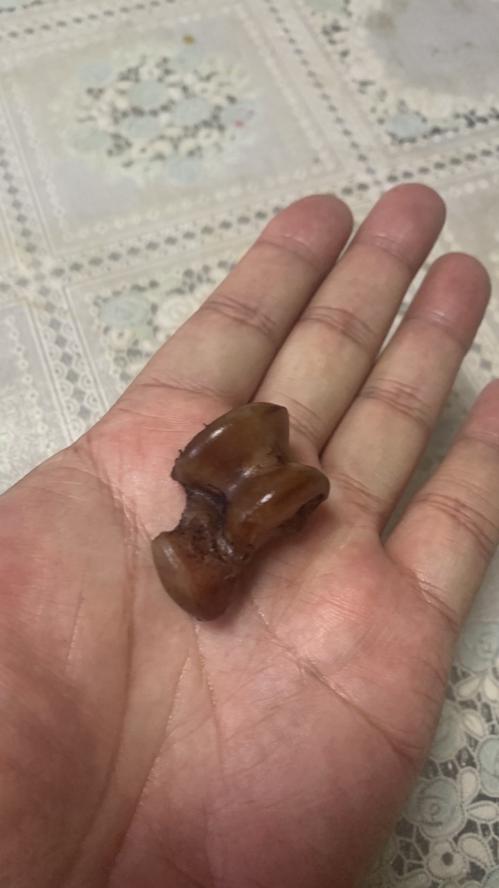 來自俄羅斯的精品