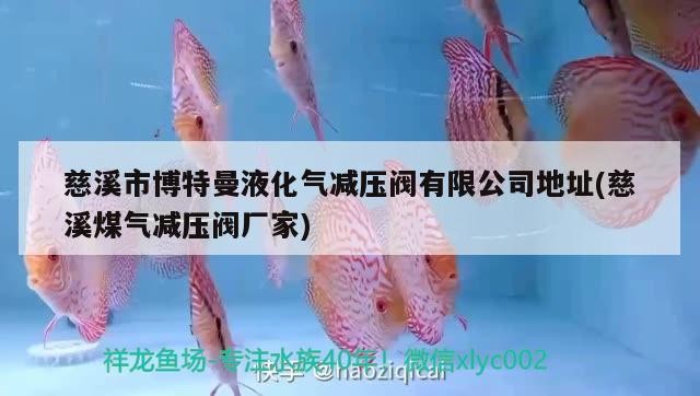 慈溪市博特曼液化氣減壓閥有限公司地址(慈溪煤氣減壓閥廠家)