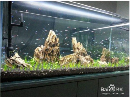 老魚匠加熱棒怎么拆卸清洗方法（老魚匠加熱棒怎么拆卸清洗方法視頻）