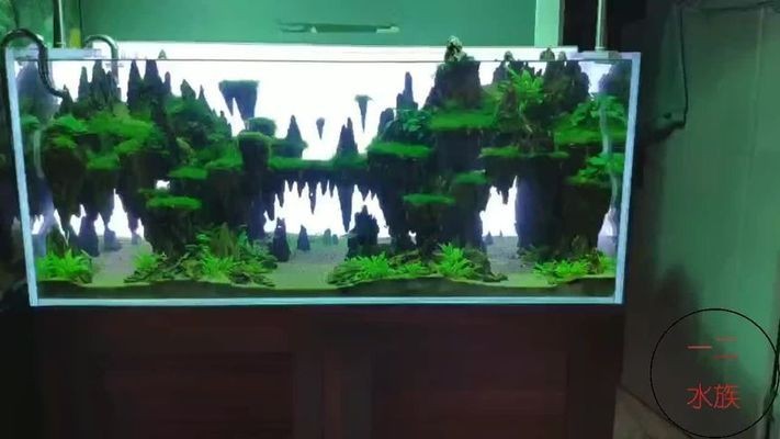 老魚匠魅影水泵控制器使用說明書（老魚匠魅影水泵怎么調）
