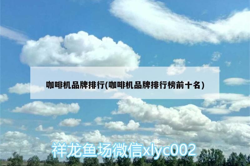 咖啡機(jī)品牌排行(咖啡機(jī)品牌排行榜前十名) 咖啡機(jī)品牌排行(咖啡機(jī)品牌排行榜前十名) 馬來(lái)西亞咖啡