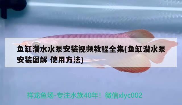 diy金魚缸過濾（自制金魚缸過濾）