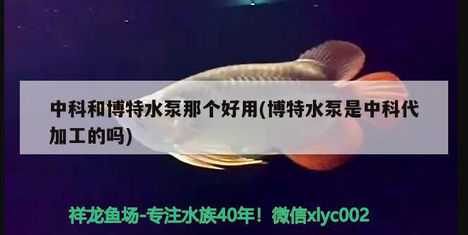 中科和博特水泵那個好用(博特水泵是中科代加工的嗎) 中科和博特水泵那個好用(博特水泵是中科代加工的嗎) 博特水族
