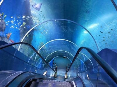 常德水族館vs祥龍魚場(chǎng)（常德水族館位于中國湖南省常德市）