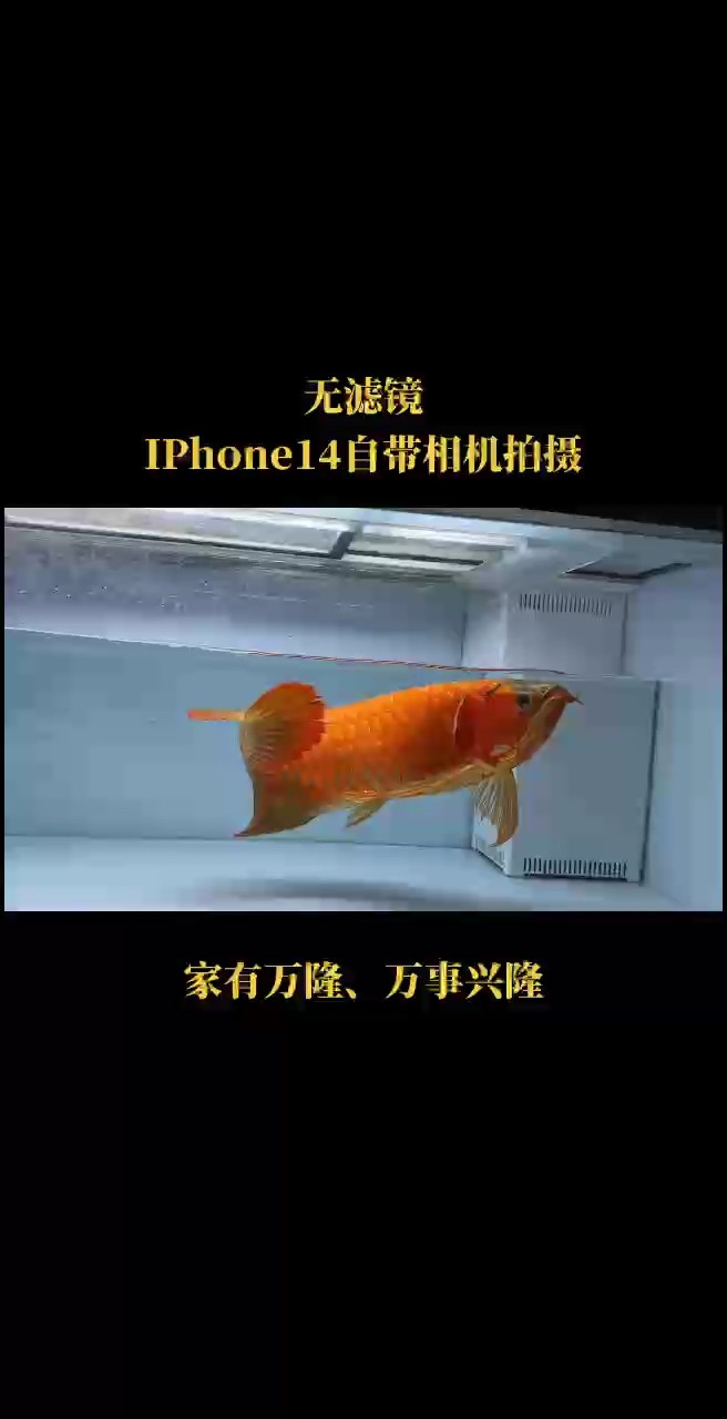 戰神回歸