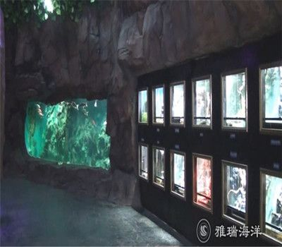 張家口水族館vs祥龍魚場（張家口水族館與祥龍魚場之間的差異，地理位置與特色）