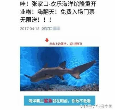 張家口水族館vs祥龍魚場（張家口水族館與祥龍魚場之間的差異，地理位置與特色）
