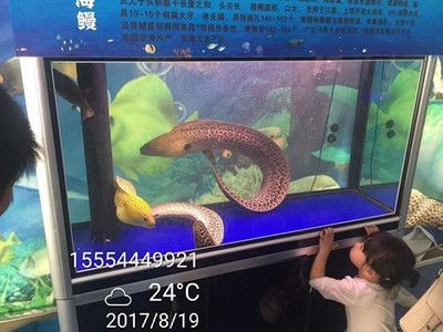 張家口水族館vs祥龍魚場（張家口水族館與祥龍魚場之間的差異，地理位置與特色）