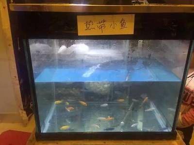 張家口水族館vs祥龍魚場（張家口水族館與祥龍魚場之間的差異，地理位置與特色）