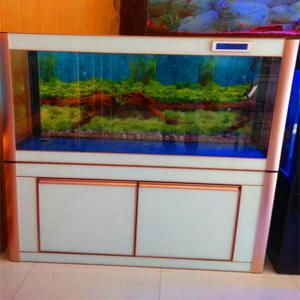 100公分魚(yú)缸價(jià)格圖片大全：100公分魚(yú)缸價(jià)格圖片