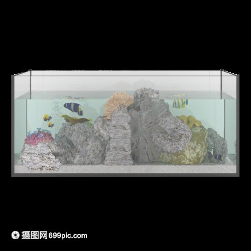 1.20.40.3的魚缸:1.2米長0.3米高的魚缸體積或者制作魚缸所需的玻璃面積 魚缸百科 第2張 1.20.40.3的魚缸:1.2米長0.3米高的魚缸體積或者制作魚缸所需的玻璃面積 1.20.40.3的魚缸:1.2米長0.3米高的魚缸體積或者制作魚缸所需的玻璃面積 魚缸百科 第2張