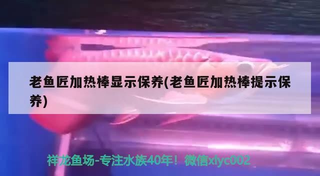 老魚匠加熱棒顯示保養(老魚匠加熱棒提示保養)