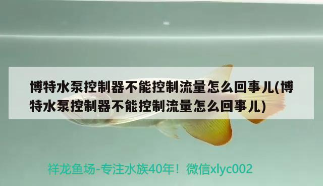 博特水泵控制器不能控制流量怎么回事兒(博特水泵控制器不能控制流量怎么回事兒)
