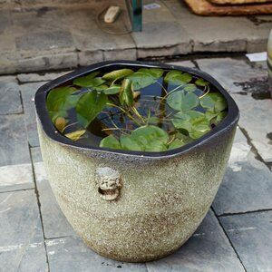 大水缸改造魚缸好嗎視頻:大水缸改造為生態(tài)魚缸的優(yōu)點(diǎn)和技巧 魚缸百科 第1張 大水缸改造魚缸好嗎視頻:大水缸改造為生態(tài)魚缸的優(yōu)點(diǎn)和技巧 大水缸改造魚缸好嗎視頻:大水缸改造為生態(tài)魚缸的優(yōu)點(diǎn)和技巧 魚缸百科 第1張
