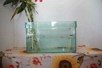 魚缸品牌十大排名進口有哪些牌子（魚缸品牌十大排名進口有哪些牌子的） 魚缸品牌十大排名進口有哪些牌子（魚缸品牌十大排名進口有哪些牌子的） iwish愛唯希品牌魚缸