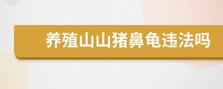 豬鼻龜養會犯法嗎：養豬鼻龜是否犯法的詳細解釋：養豬鼻龜是否犯法的詳細解釋 豬鼻龜養會犯法嗎：養豬鼻龜是否犯法的詳細解釋：養豬鼻龜是否犯法的詳細解釋 豬鼻龜百科 第3張