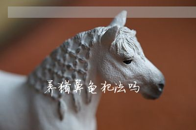 豬鼻龜養會犯法嗎：養豬鼻龜是否犯法的詳細解釋：養豬鼻龜是否犯法的詳細解釋 豬鼻龜養會犯法嗎：養豬鼻龜是否犯法的詳細解釋：養豬鼻龜是否犯法的詳細解釋 豬鼻龜百科 第5張