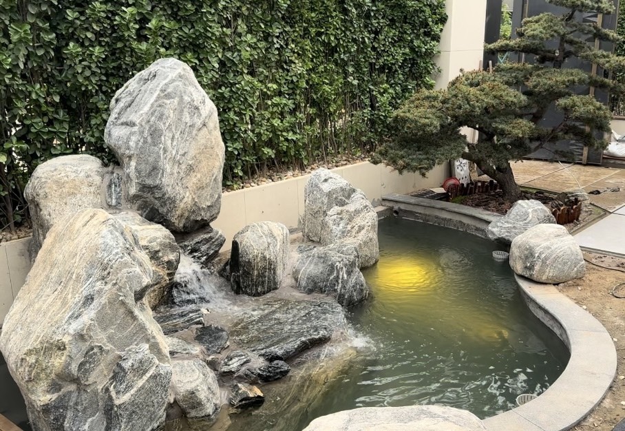 五年，龍魚長很大，繼續養得換更大的魚缸，最近要搬家，只能把小豬唯一的室友龍魚請走了。留下小豬，在一個超小缸過渡性蝸居了一個月，然后正好夏天，新家的室外魚池也弄好了，小豬住進戶外大豪宅。 五年，龍魚長很大，繼續養得換更大的魚缸，最近要搬家，只能把小豬唯一的室友龍魚請走了。留下小豬，在一個超小缸過渡性蝸居了一個月，然后正好夏天，新家的室外魚池也弄好了，小豬住進戶外大豪宅。 龍魚論壇 第1張