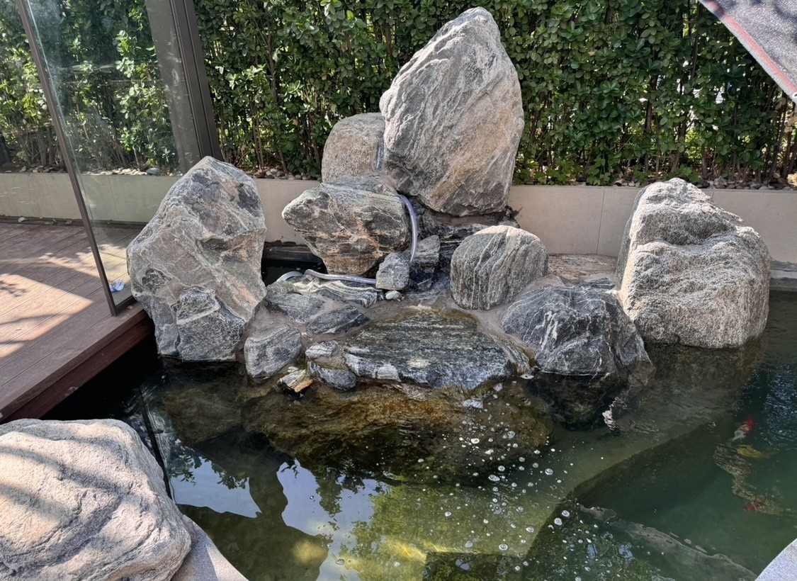 五年，龍魚長很大，繼續養得換更大的魚缸，最近要搬家，只能把小豬唯一的室友龍魚請走了。留下小豬，在一個超小缸過渡性蝸居了一個月，然后正好夏天，新家的室外魚池也弄好了，小豬住進戶外大豪宅。 五年，龍魚長很大，繼續養得換更大的魚缸，最近要搬家，只能把小豬唯一的室友龍魚請走了。留下小豬，在一個超小缸過渡性蝸居了一個月，然后正好夏天，新家的室外魚池也弄好了，小豬住進戶外大豪宅。 龍魚論壇 第2張