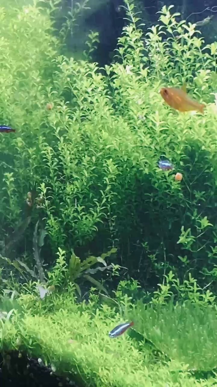 悠哉