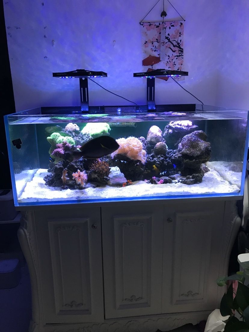 北京寶興隆水族店 北京寶興隆水族店 全國水族館企業名錄 第1張