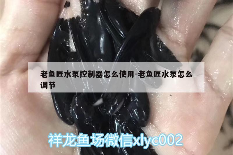 老魚匠水泵控制器怎么使用:老魚匠水泵怎么調節