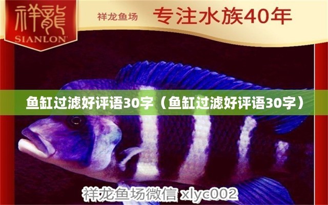 愛唯希魚缸質(zhì)量評(píng)價(jià)如何樣知乎文章（愛唯希魚缸怎么樣）