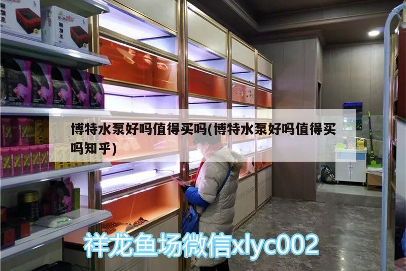 博特水泵好嗎值得買嗎(博特水泵好嗎值得買嗎知乎) 博特水泵好嗎值得買嗎(博特水泵好嗎值得買嗎知乎) 博特水族