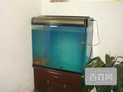 1.2米魚缸算大嗎：1.2米長的魚缸在寬度和高度上的選擇取決于您的飼養(yǎng)目標和魚缸的用途