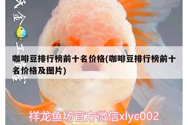咖啡豆排行榜前十名價格(咖啡豆排行榜前十名價格及圖片)