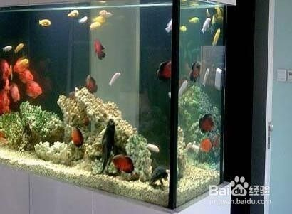 老魚匠變頻加熱棒真的省電嗎（老魚匠變頻加熱棒好嗎）