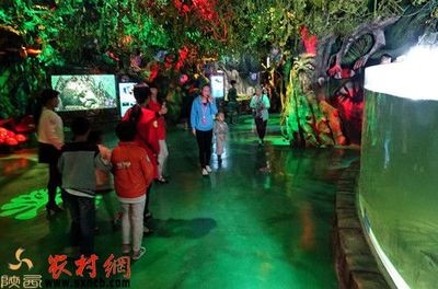 商洛水族館vs祥龍魚(yú)場(chǎng)（商洛水族館位于陜西省專(zhuān)注于水族的養(yǎng)護(hù)、管理和維護(hù)工作）