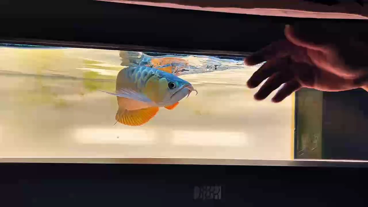 周末到來