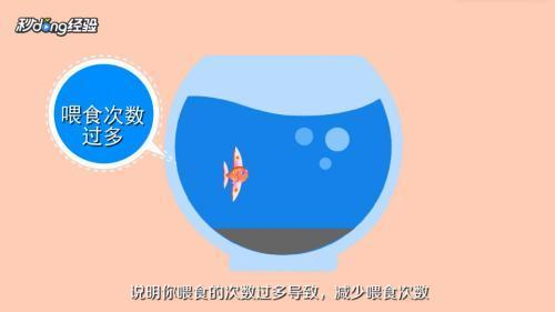 創寧變頻水泵哪里產的（創寧變頻水泵哪里產的好）