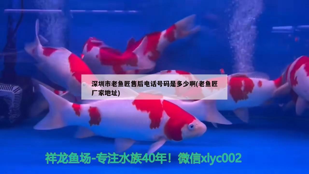 深圳市老魚匠售后電話號碼是多少啊(老魚匠廠家地址)