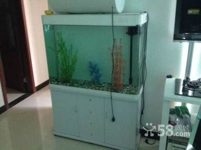 1米2魚缸有多重：1米2的魚缸有多重？