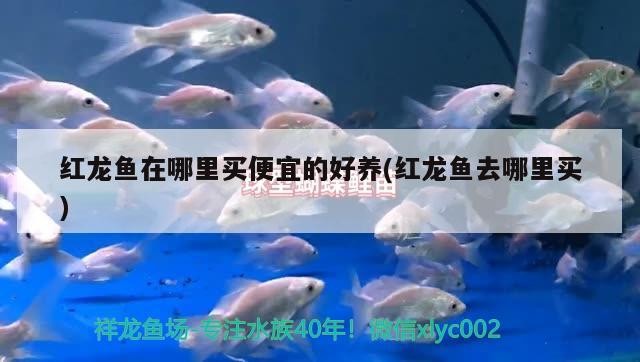老漁匠魚缸怎么樣？老魚匠魚缸做工怎么樣？，老漁匠魚缸怎么樣和老魚匠魚缸做工怎么樣和老魚匠魚缸做工怎么樣