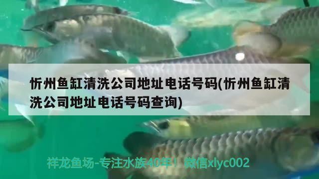 忻州魚缸清洗公司地址電話號碼(忻州魚缸清洗公司地址電話號碼查詢) 忻州魚缸清洗公司地址電話號碼(忻州魚缸清洗公司地址電話號碼查詢) iwish愛唯希品牌魚缸