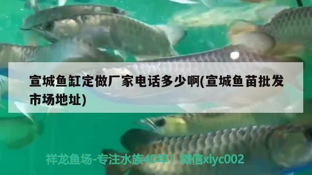 宣城魚(yú)缸定做廠家電話多少啊(宣城魚(yú)苗批發(fā)市場(chǎng)地址)