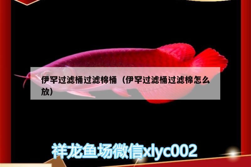 伊罕過(guò)濾桶過(guò)濾棉桶（伊罕過(guò)濾桶過(guò)濾棉怎么放）