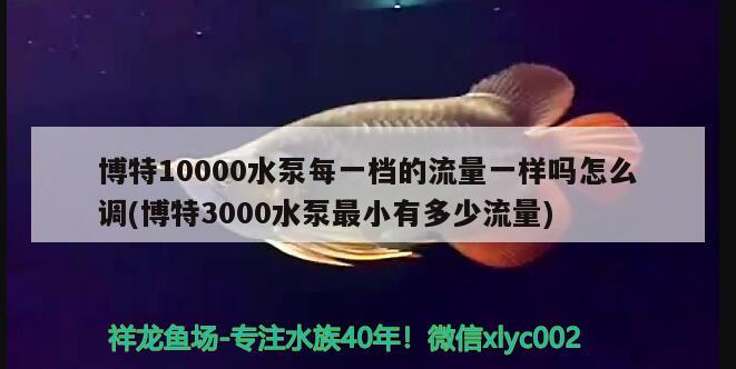 博特10000水泵每一檔的流量一樣嗎怎么調(博特3000水泵最小有多少流量) 博特10000水泵每一檔的流量一樣嗎怎么調(博特3000水泵最小有多少流量) 博特水族 第1張