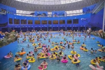 營口水族館vs祥龍魚場（營口水族館和祥龍魚場有什么區別？）