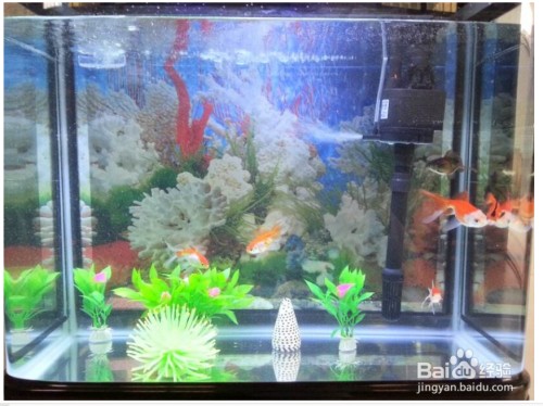 森森牌魚缸大約多少錢（森森魚缸的價格）