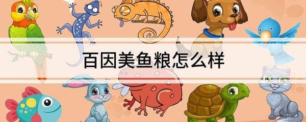放生魚改運氣10大忌：買魚放生是積功德還是背因果 放生魚改運氣10大忌：買魚放生是積功德還是背因果 龍魚百科 第3張